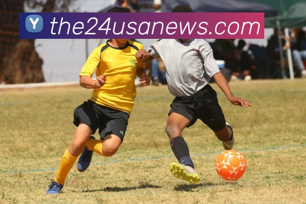 mk恩波利体育APP 封面图